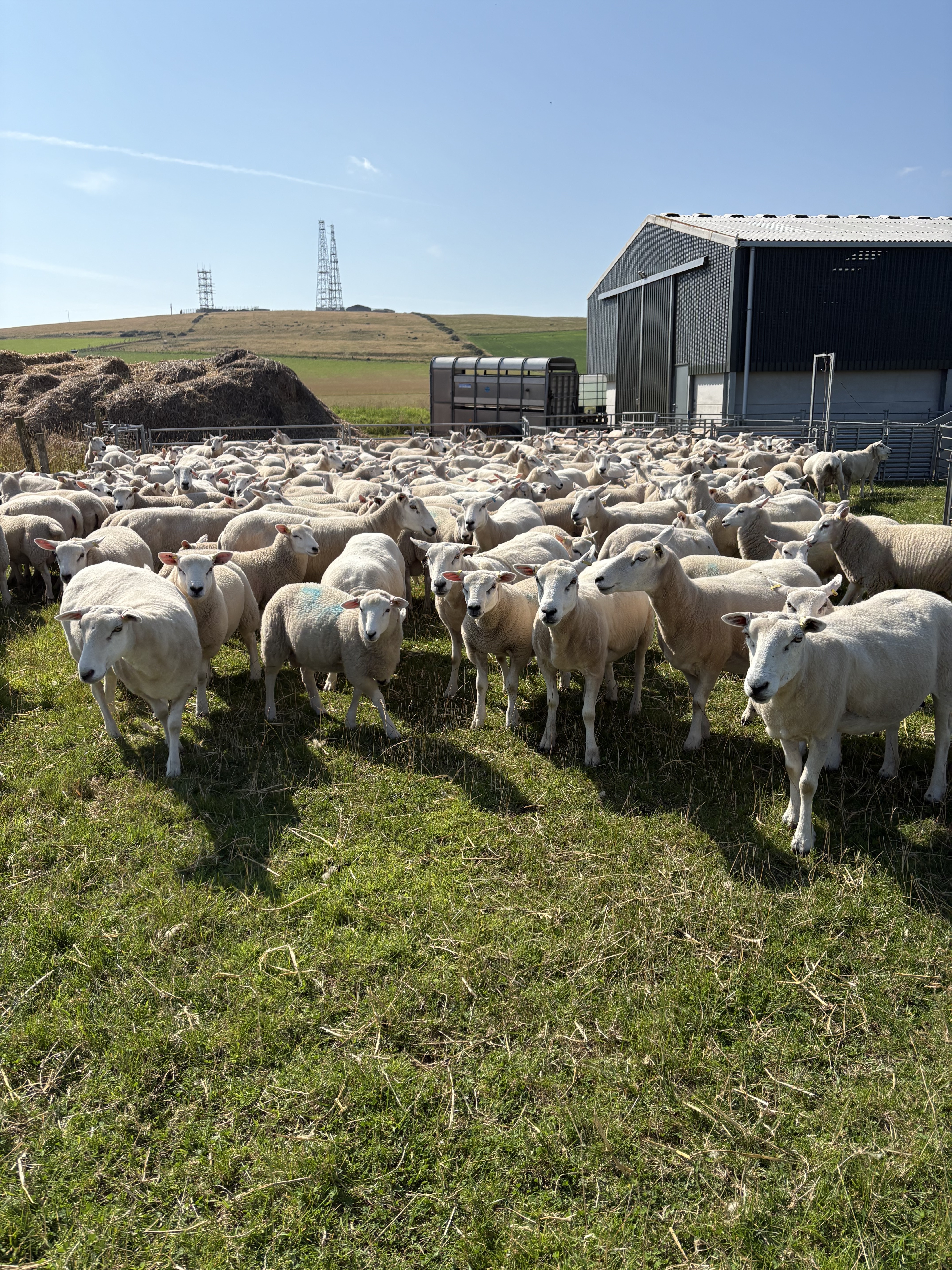 Farm Tour