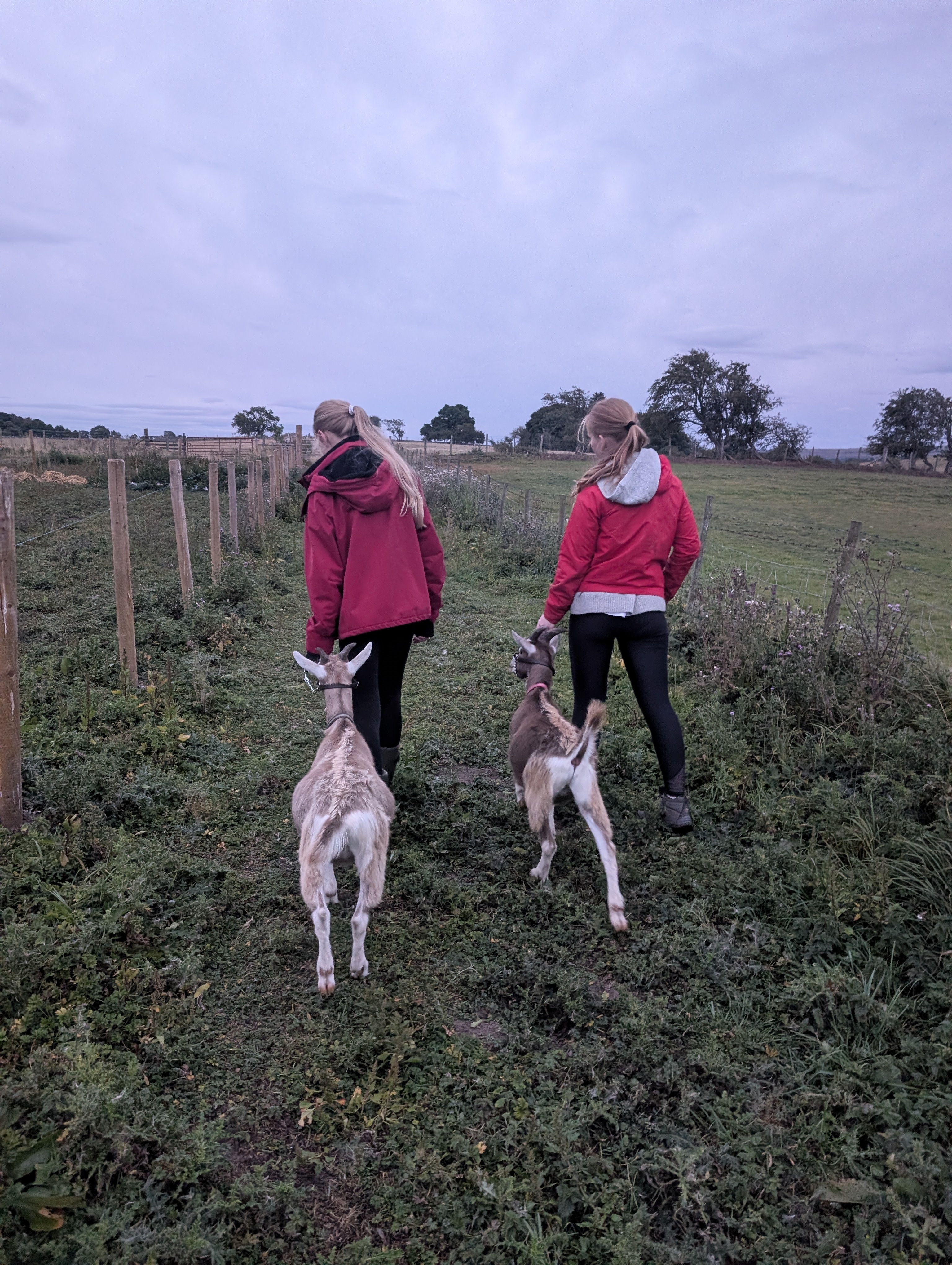 Experience the Life of a Smallholding Farmer