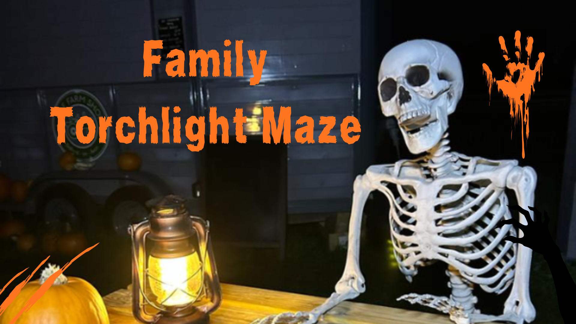 Torchlight Family Maze
