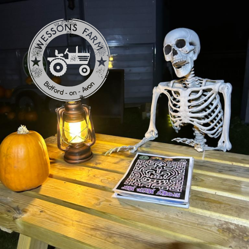 Halloween Maize Maze