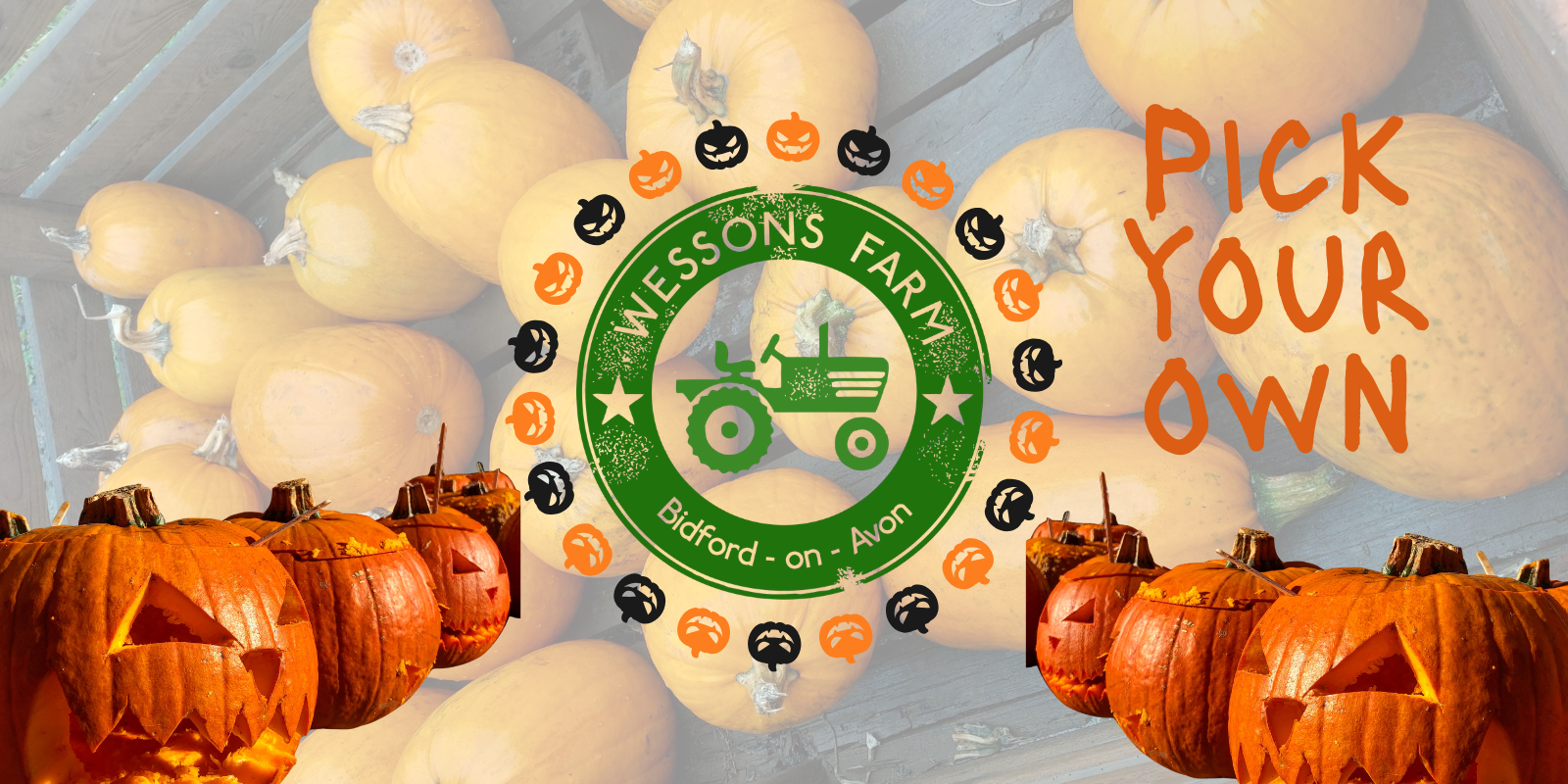 Pick Your Own Pumpkins