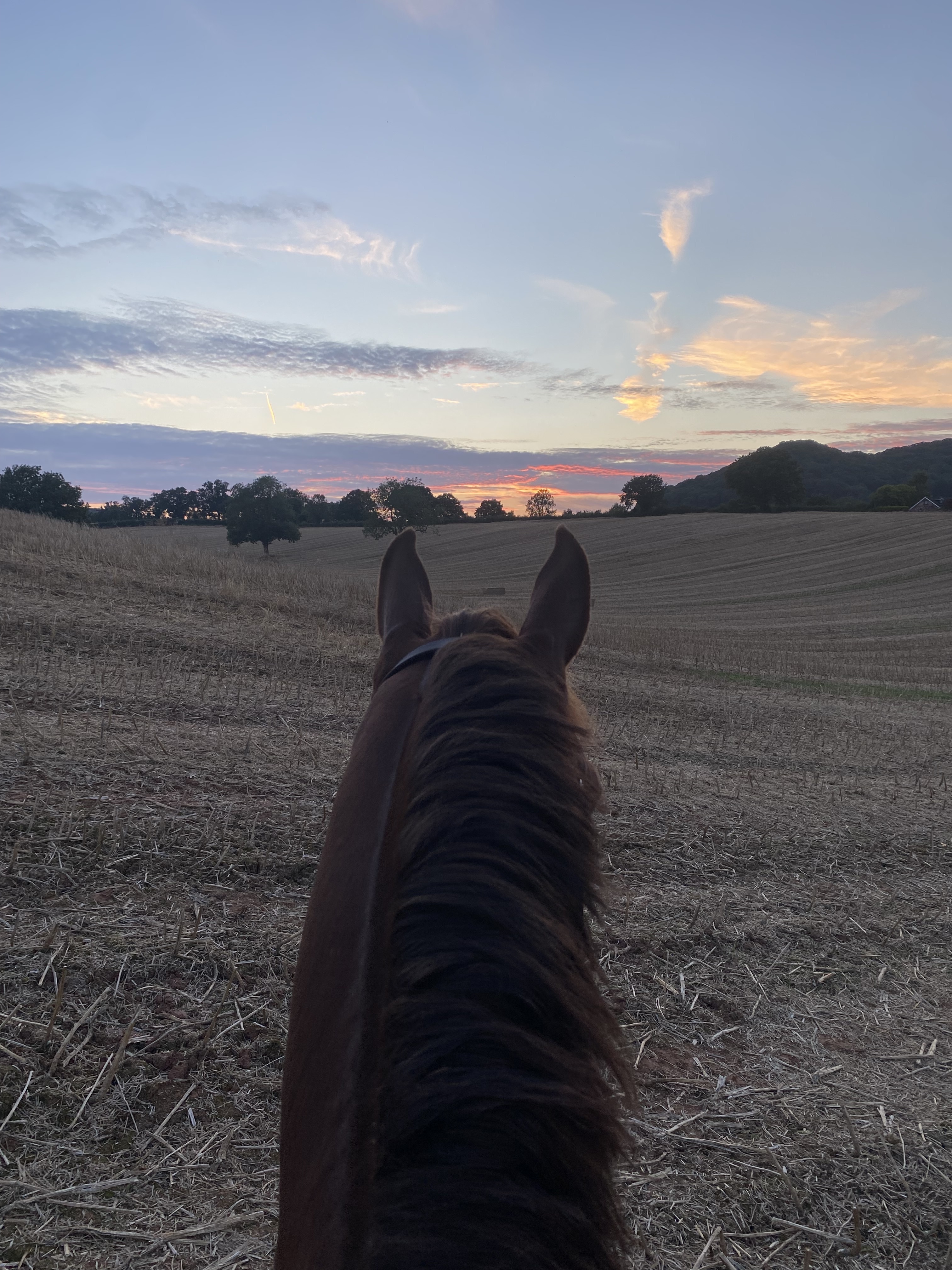 Equestrian Stay and woodland ride