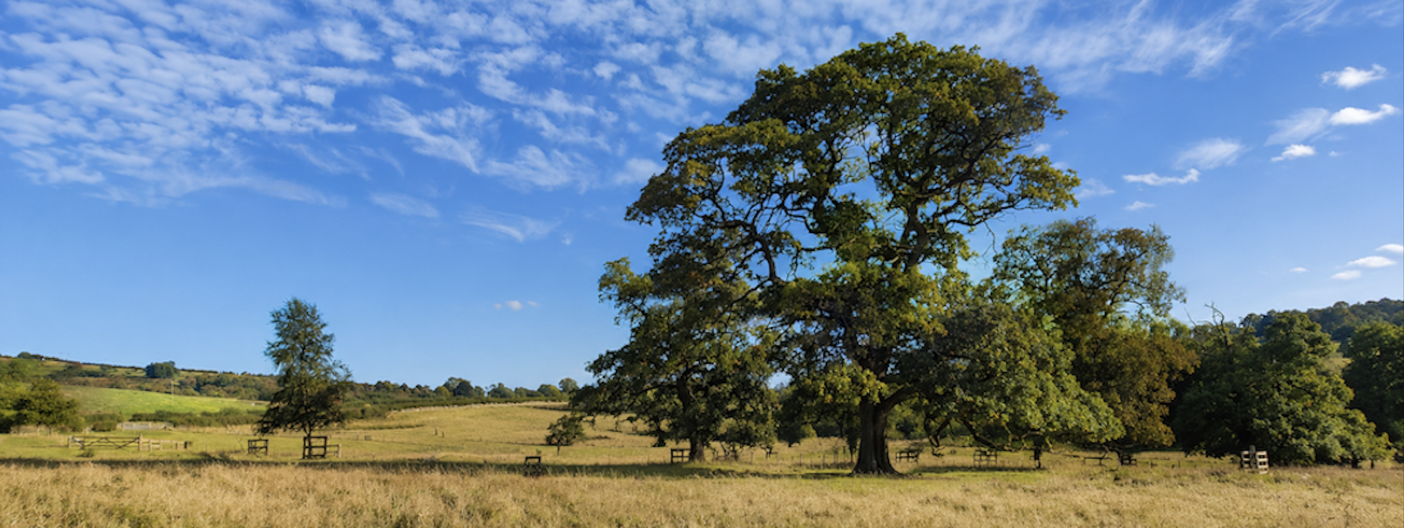 Cragend Farm Tree Trail