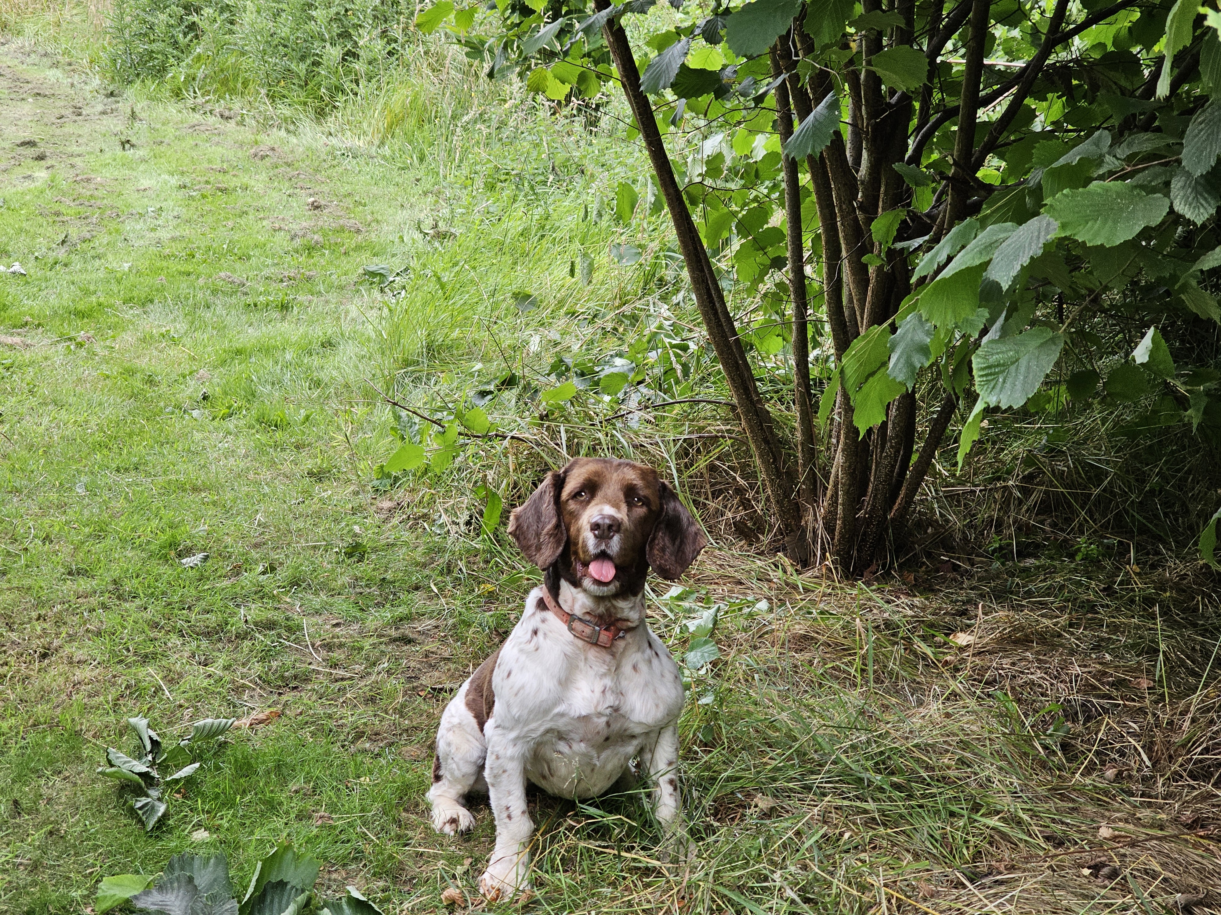 Rustical Farm Walk