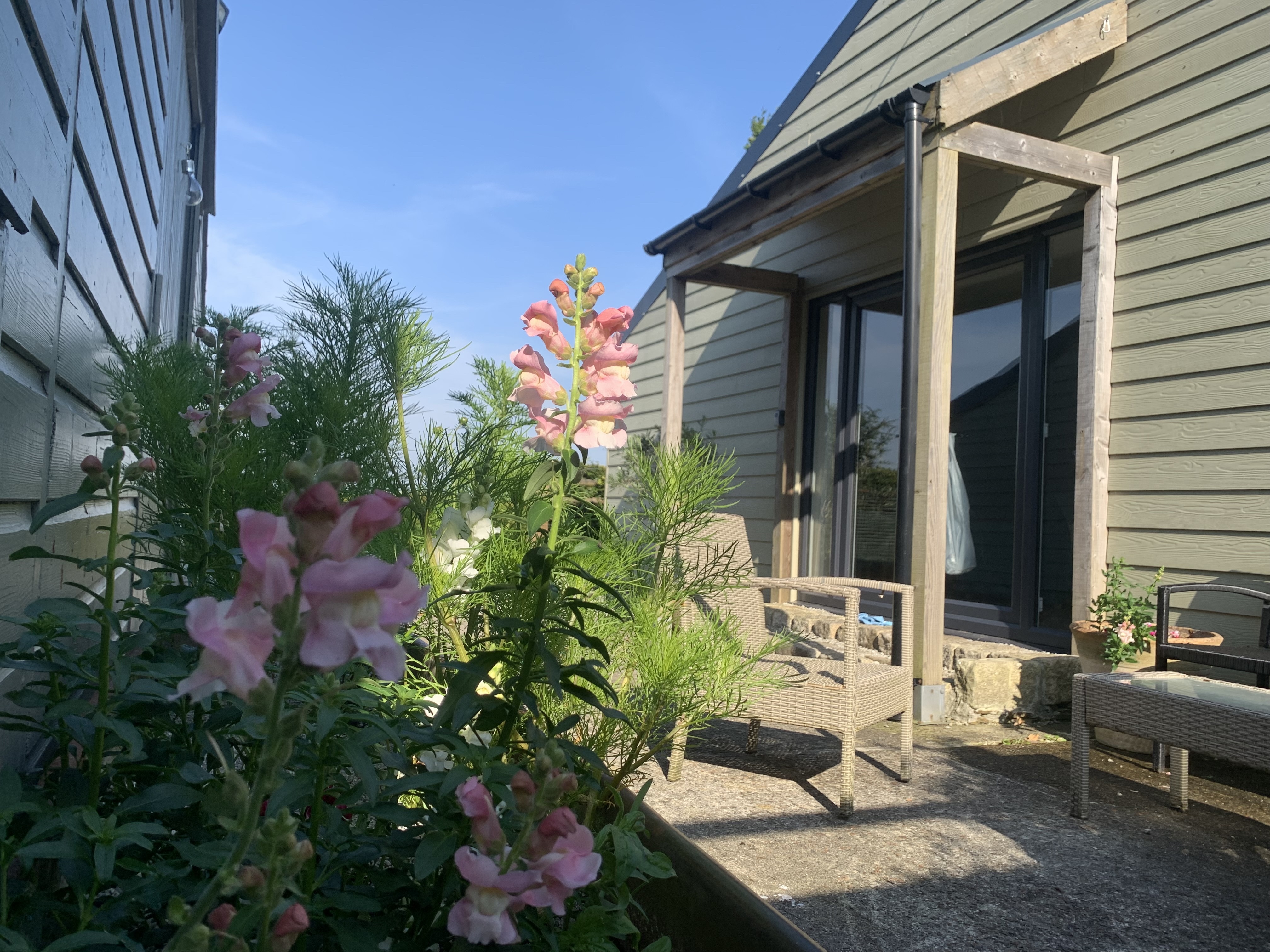 Field View, Cornish rural escape on a small farm at the edge of Bodmin moor