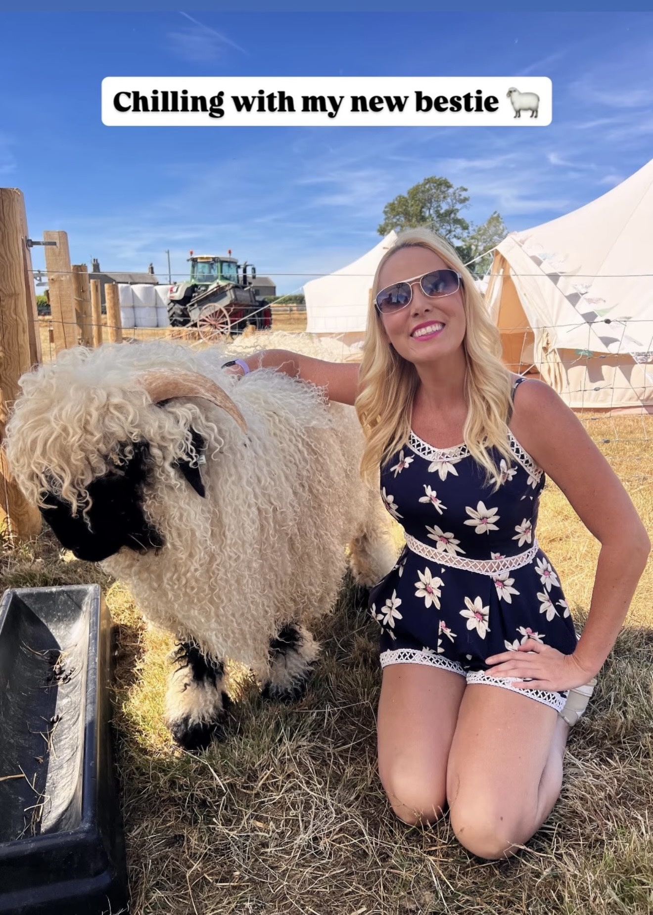 Tea with Ewe