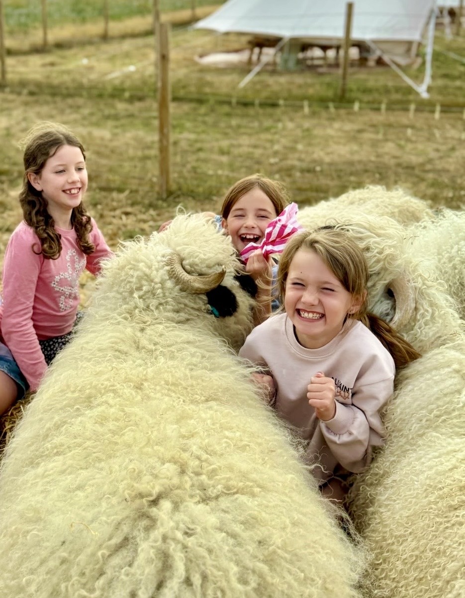 Blooming Baa-rmy Meet the Sheep