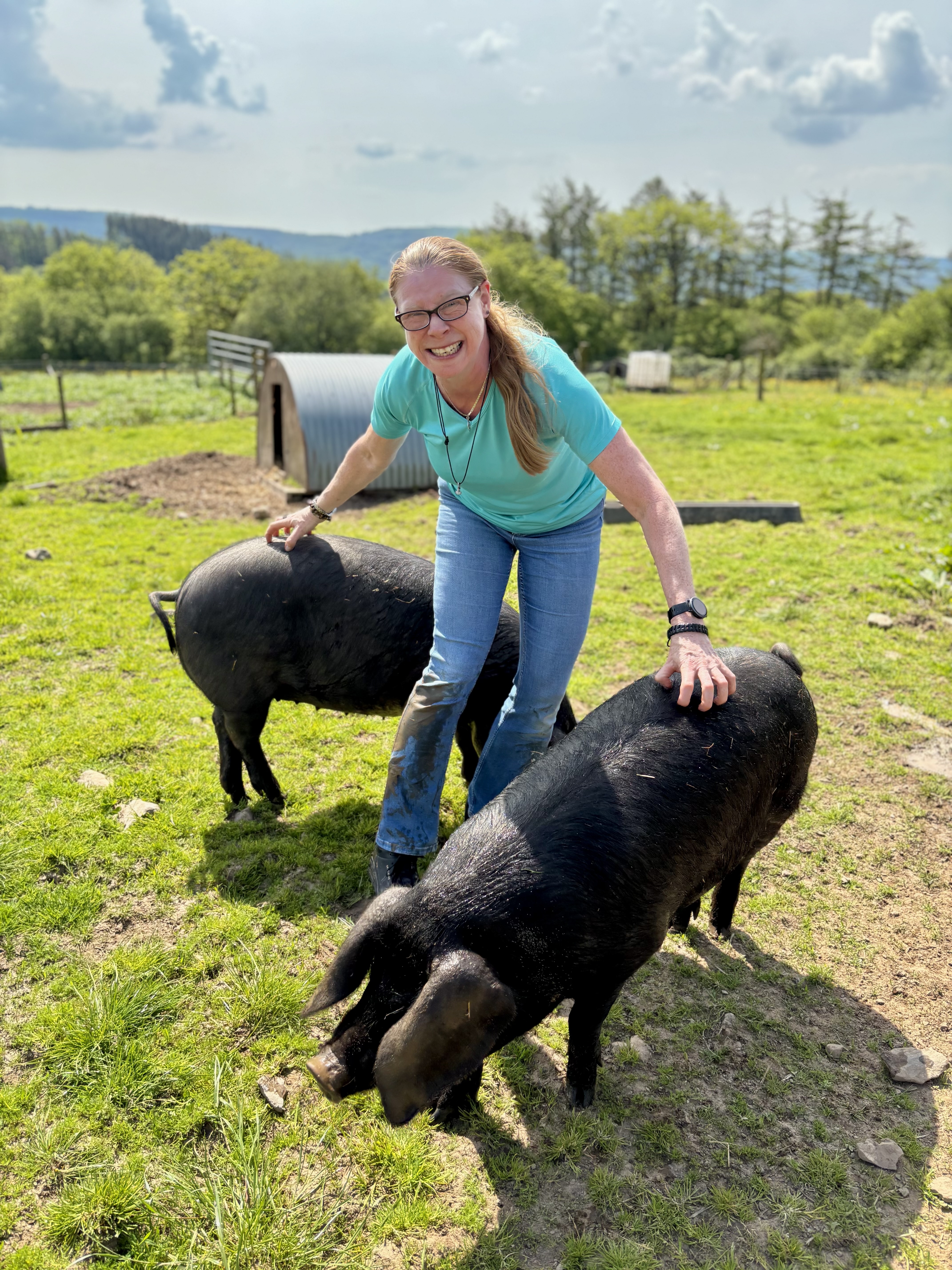 Rare Breed Pig and Goat Experience