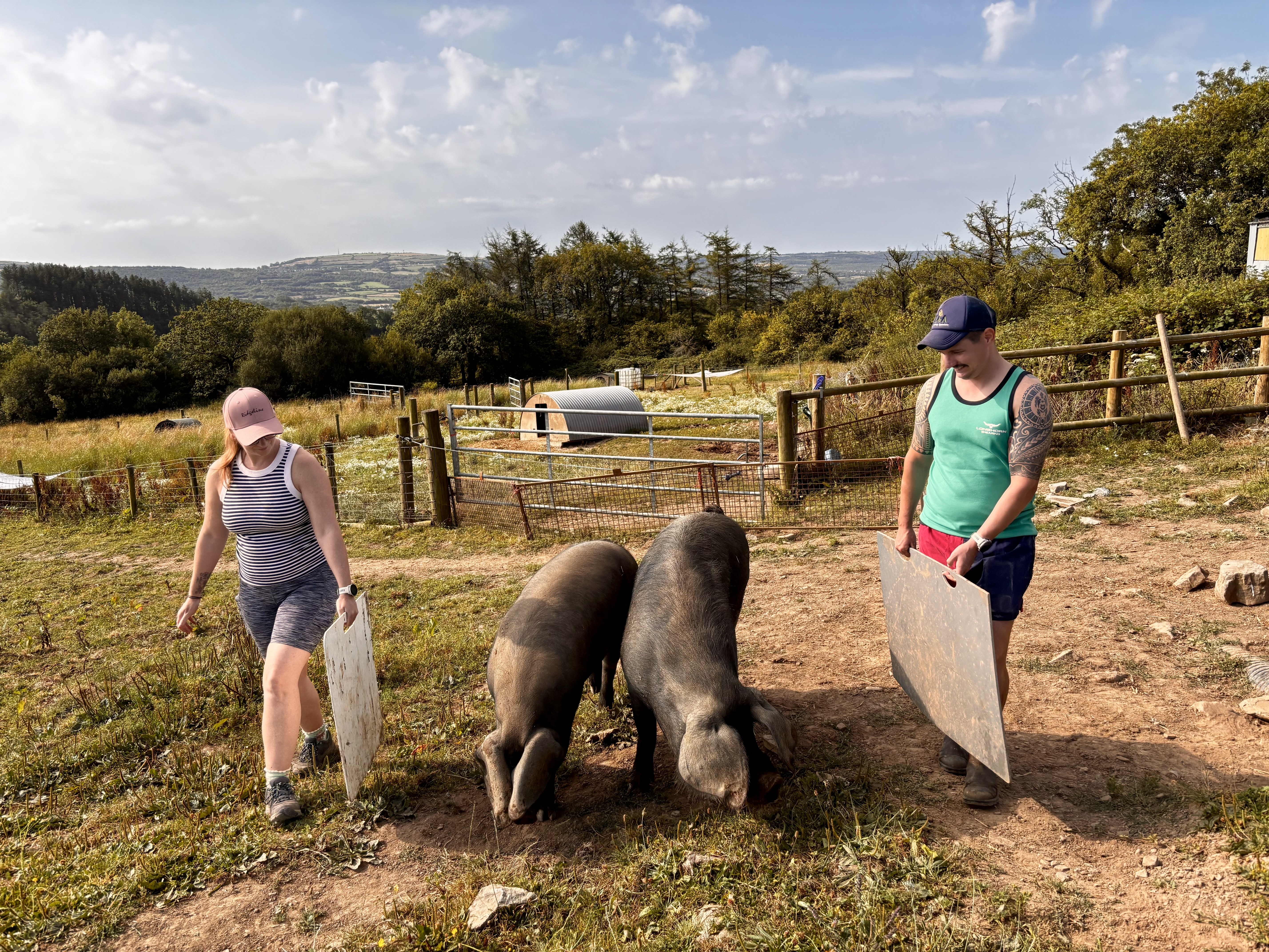 Mud, Poo & Porkers Experience 
