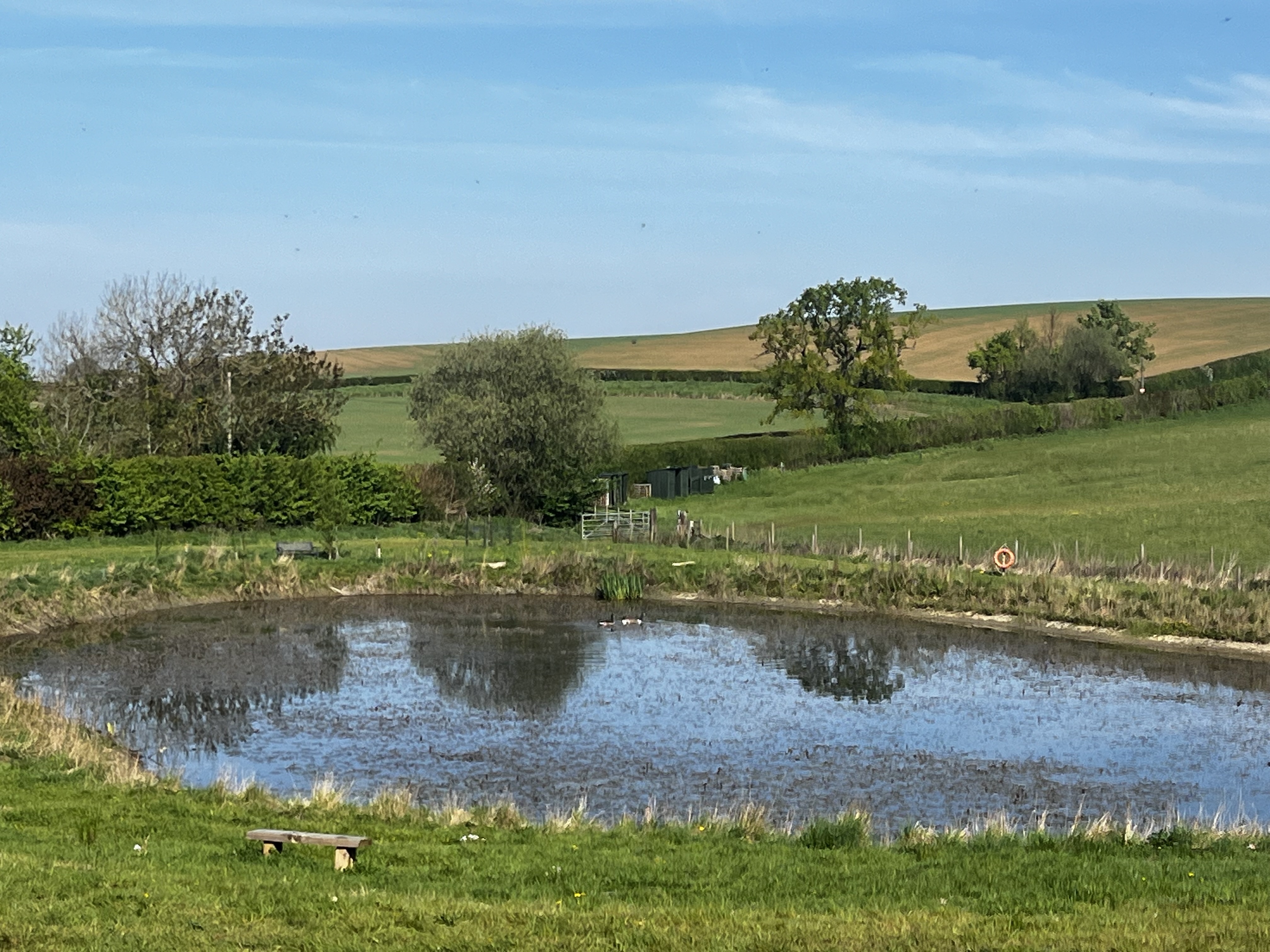 Sunnyfield Whole Field Exclusive Camping / Private Hire