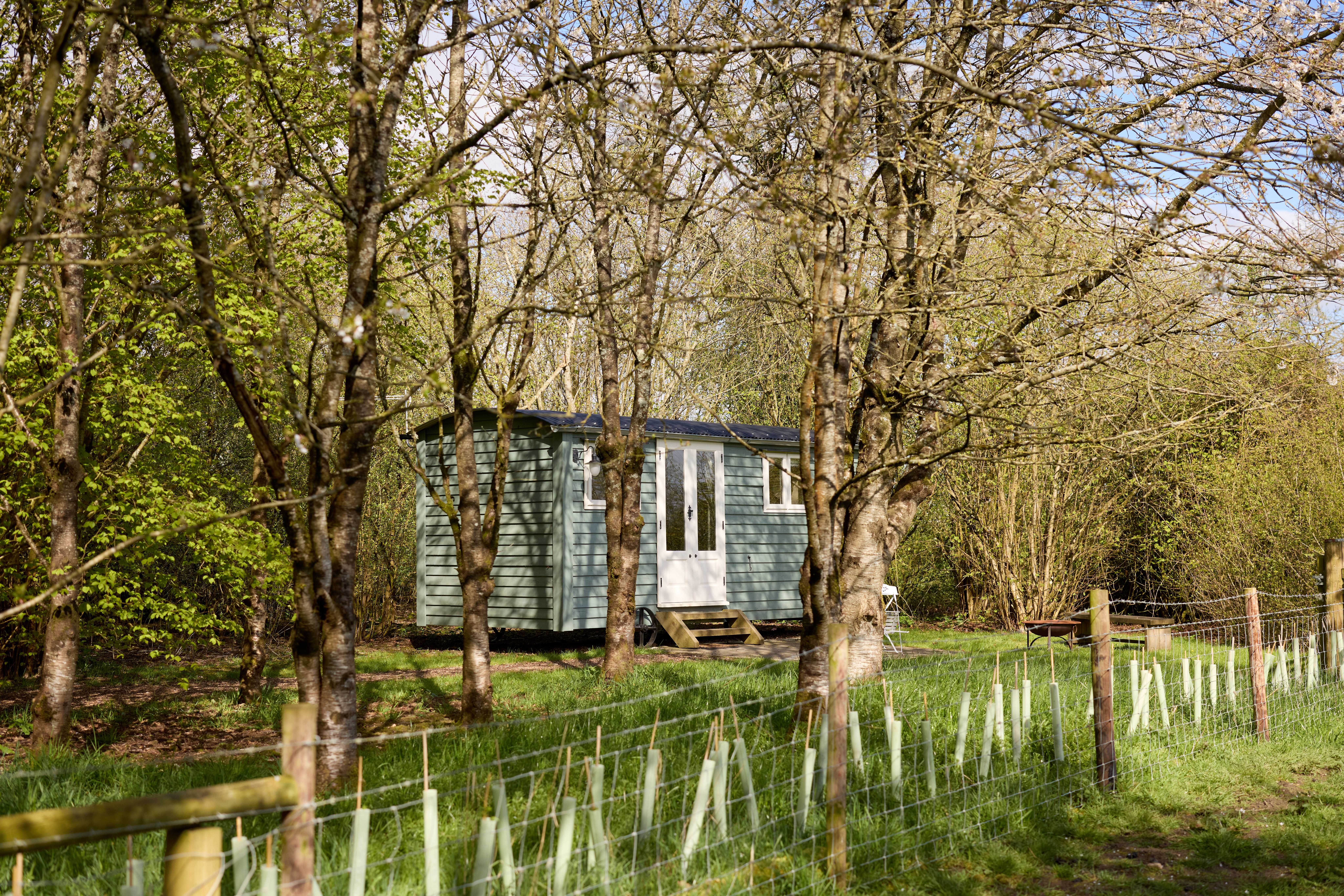 The Teaser Shepherd's Hut