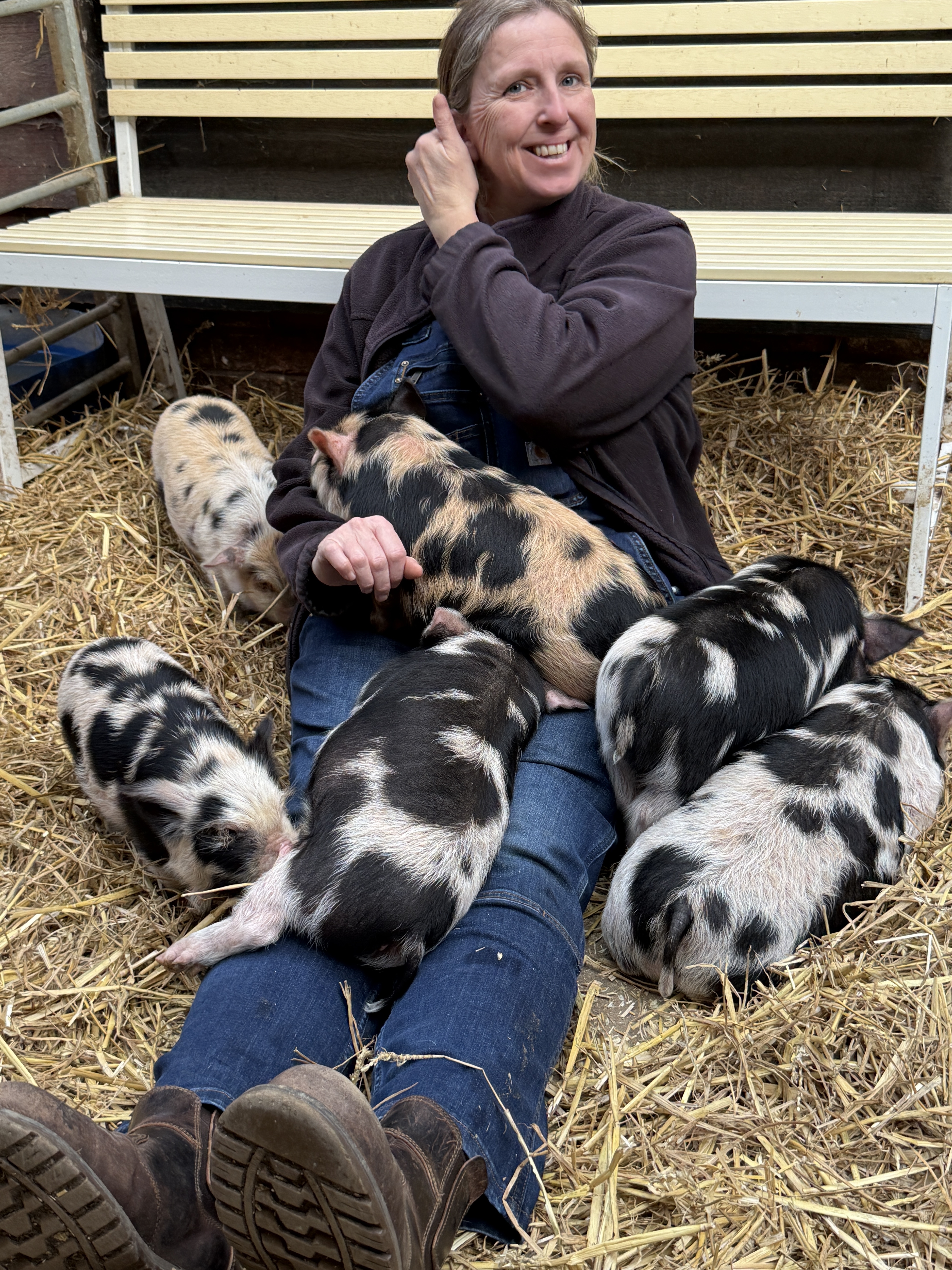 Private piglet experience for up to four people