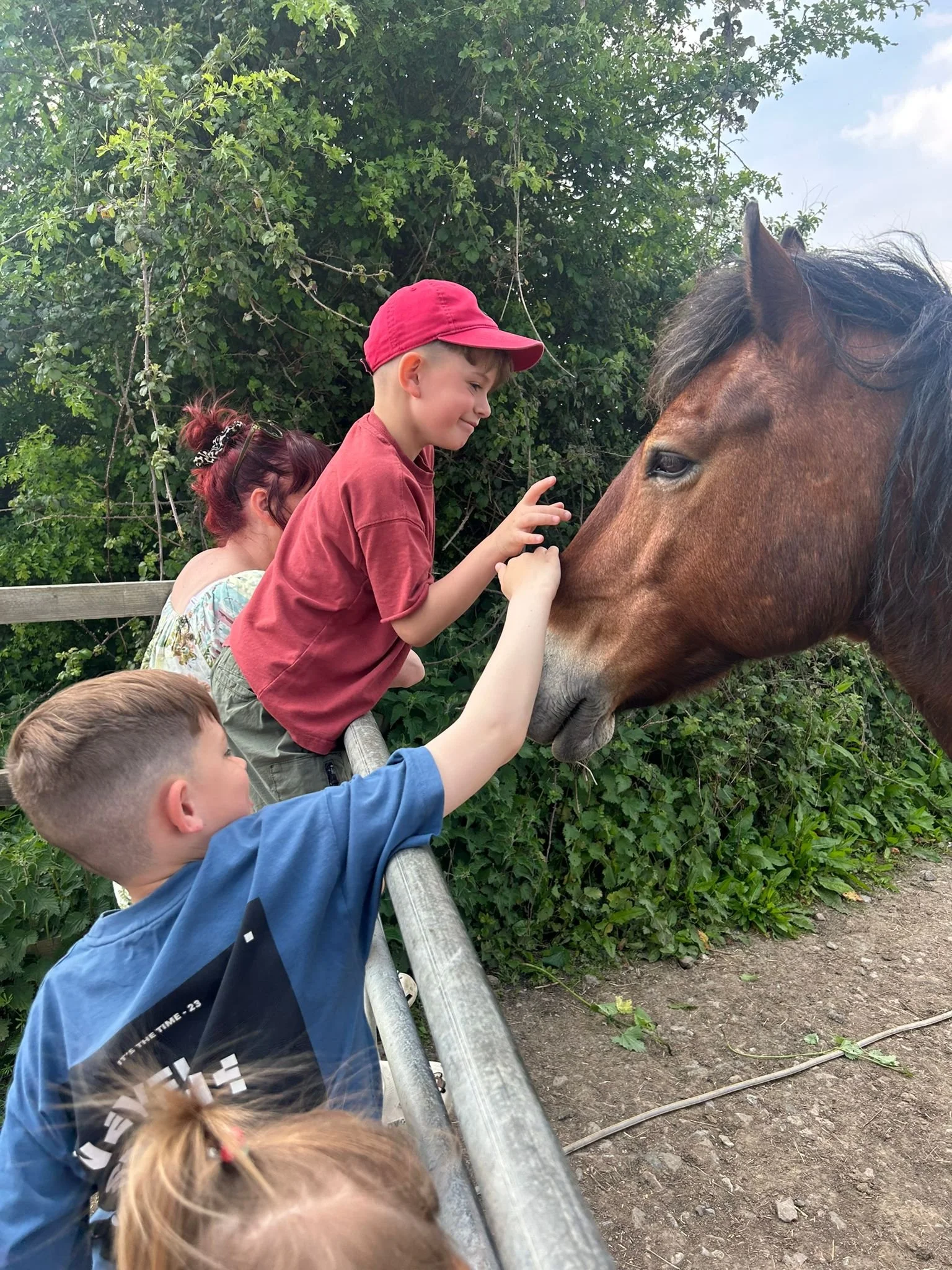Pony Meet & Greet 1hr