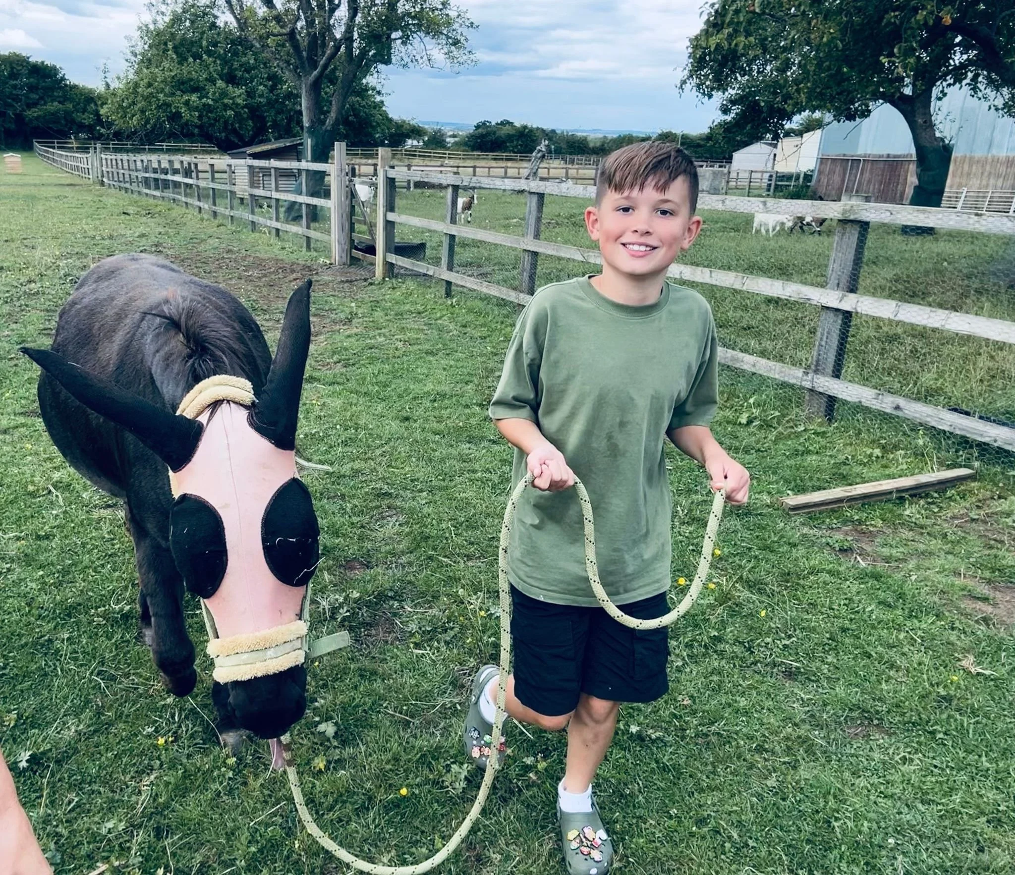 Donkey Meet & Greet