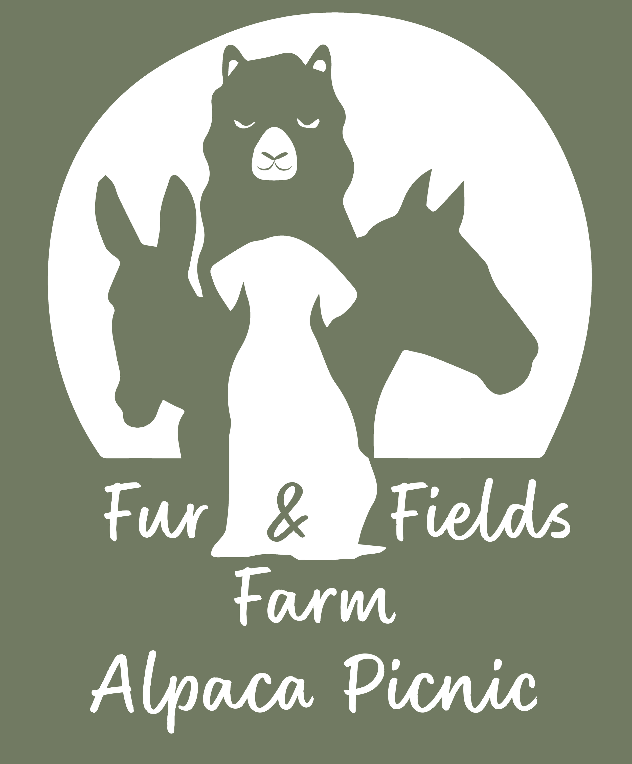 Alpaca Picnic