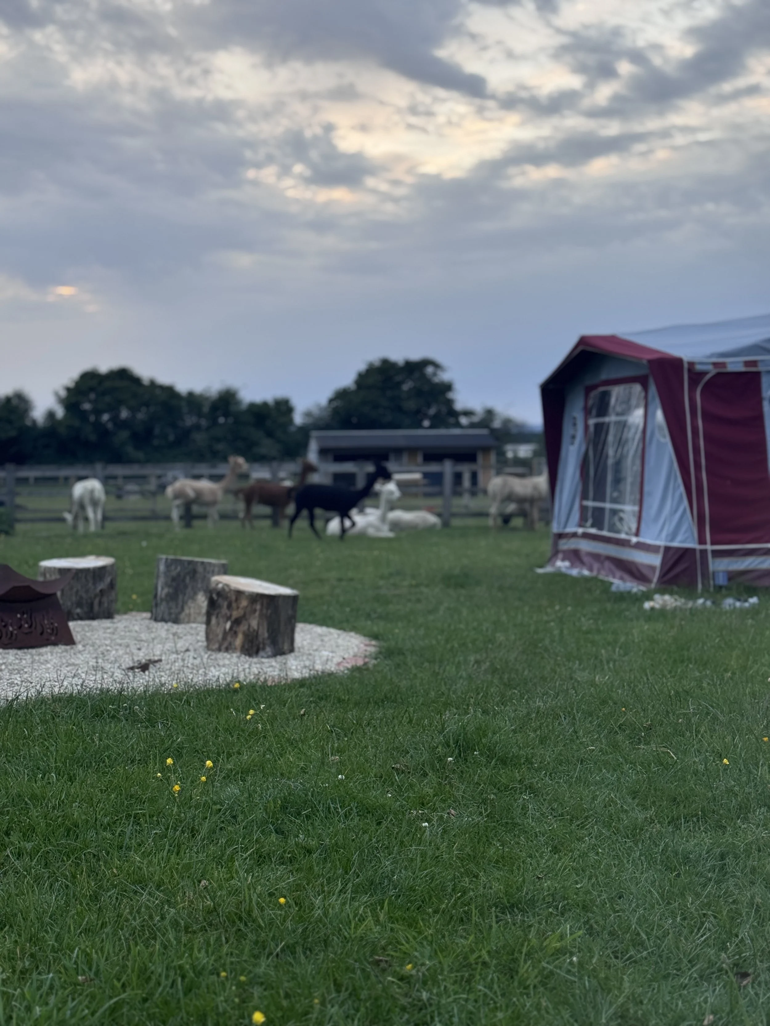 Glamping at Fur & Fields Farm