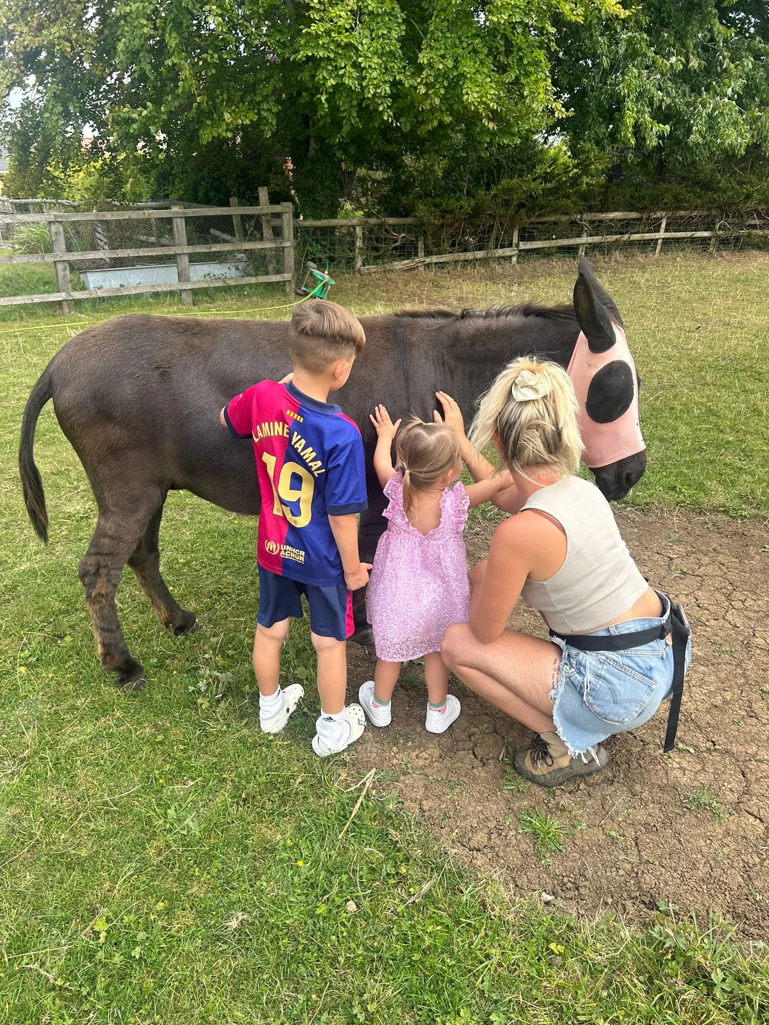 Farm Experience Session