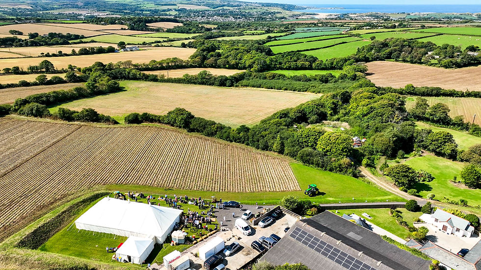 Kayle Farm