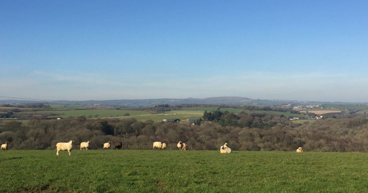 Gwel Teg Farm - Canvas Hideaway Farm Stay