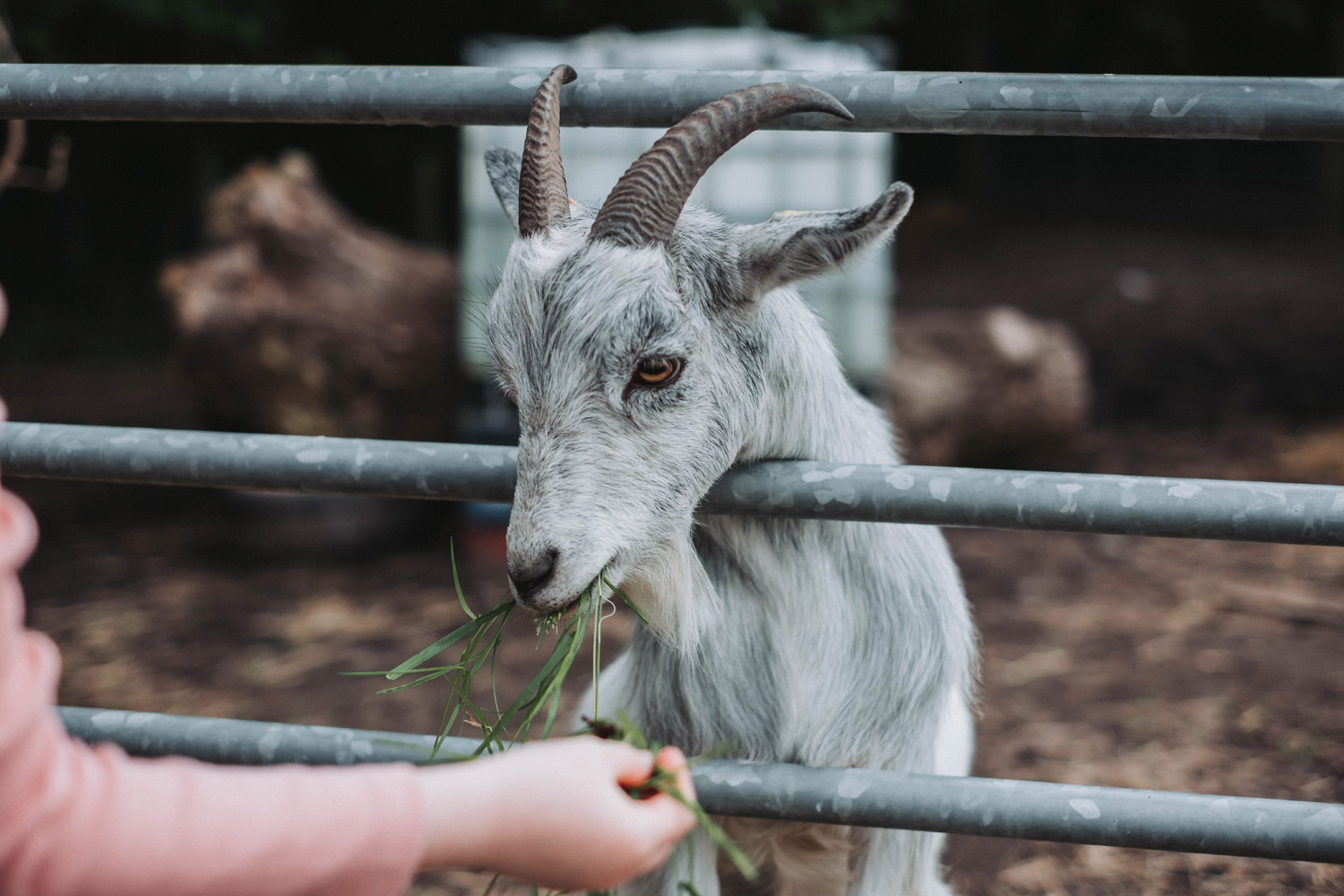 Charleton Farm