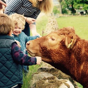 Newton Farm Holidays & Tours