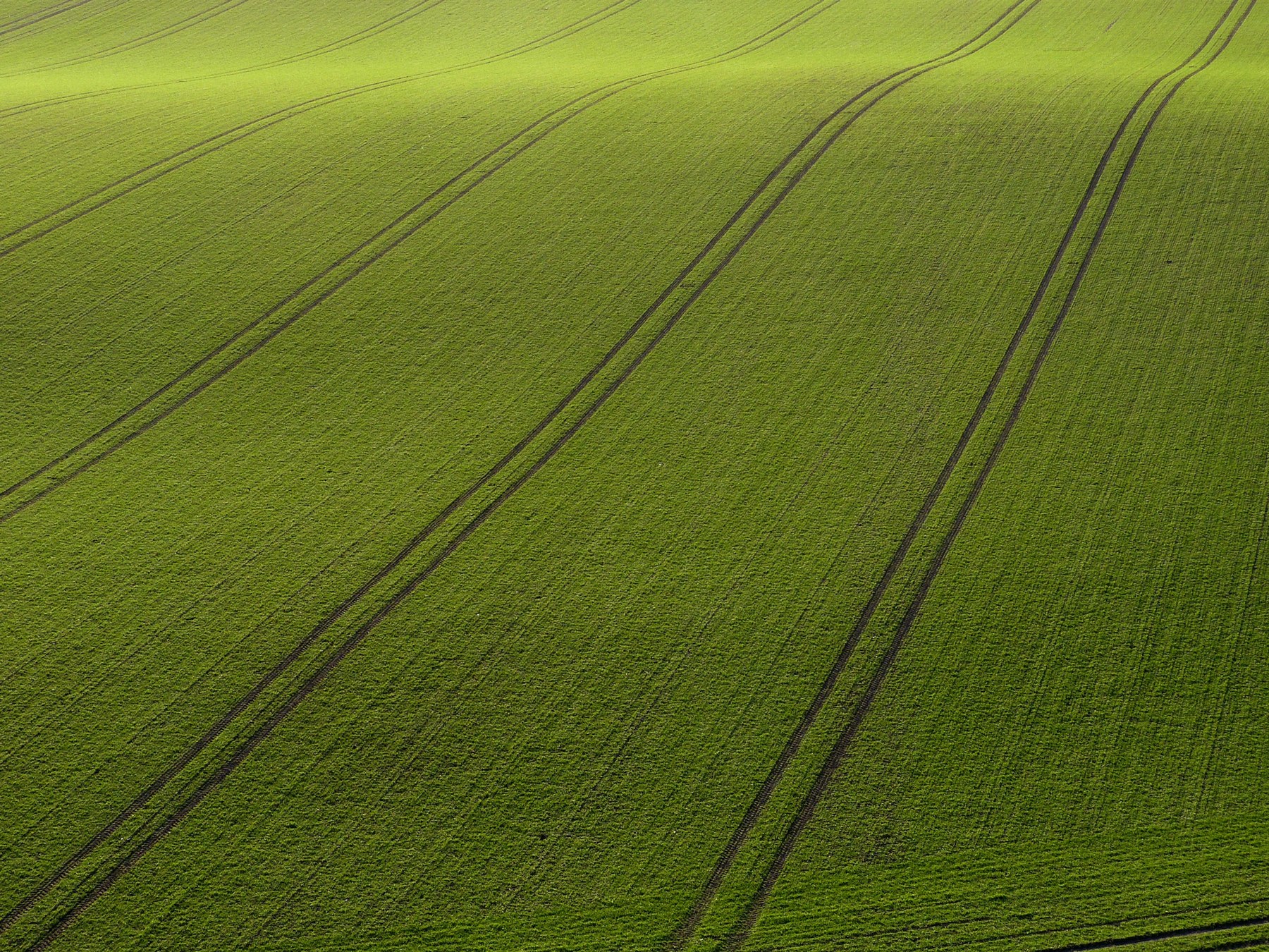 G. C. Taylor Farms / Middlebank Farm