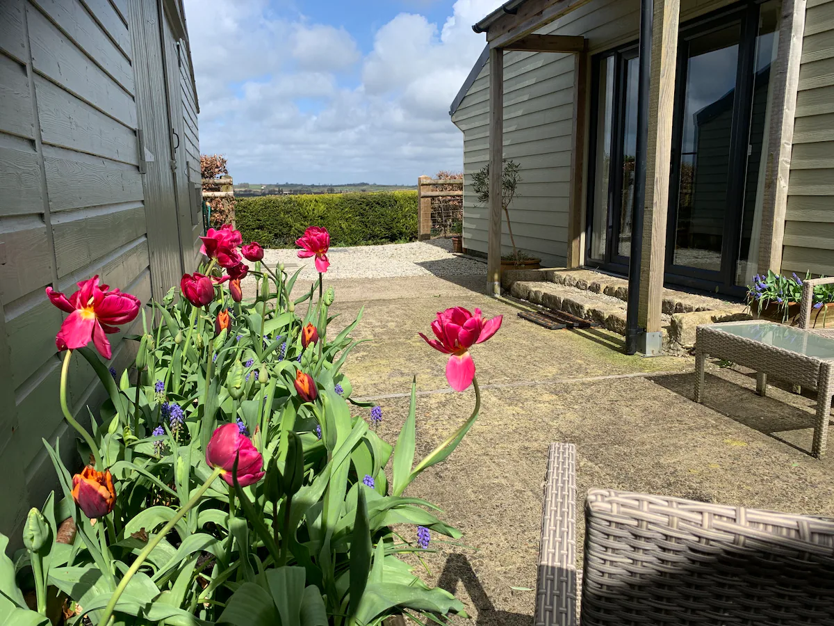 Field View, Cornish rural escape on a small farm at the edge of Bodmin moor