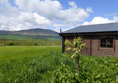 Skylark Lodge & Holiday Chalet
