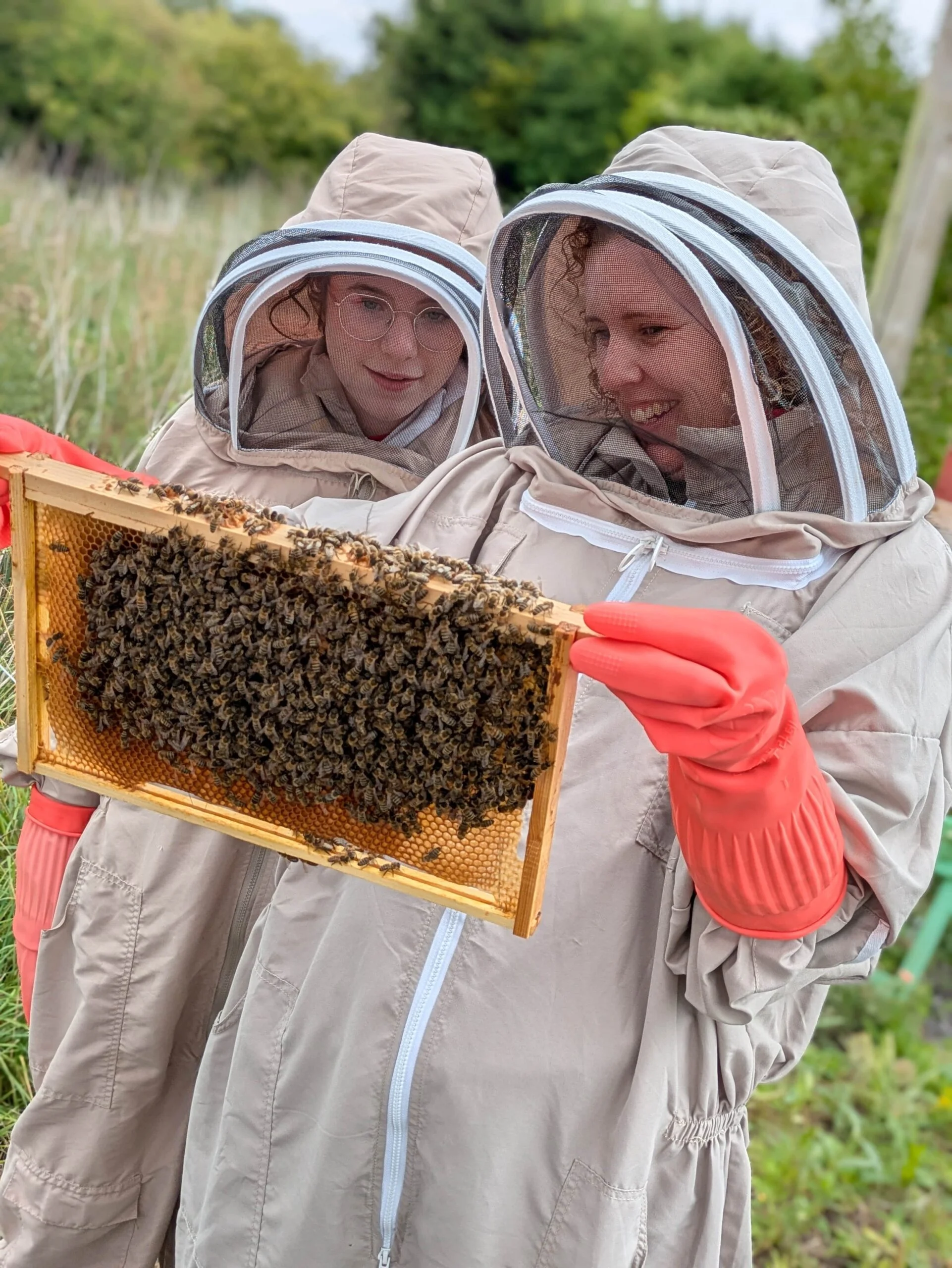 Beekeeping Experience