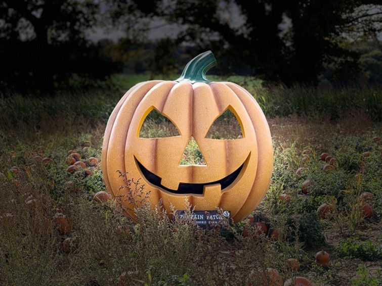 Berkshire Farm Girl Pumpkin Patch & Maize Maze 2026